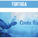 TOALLA TORTUGA COSTA RICA SERIE CR MTB